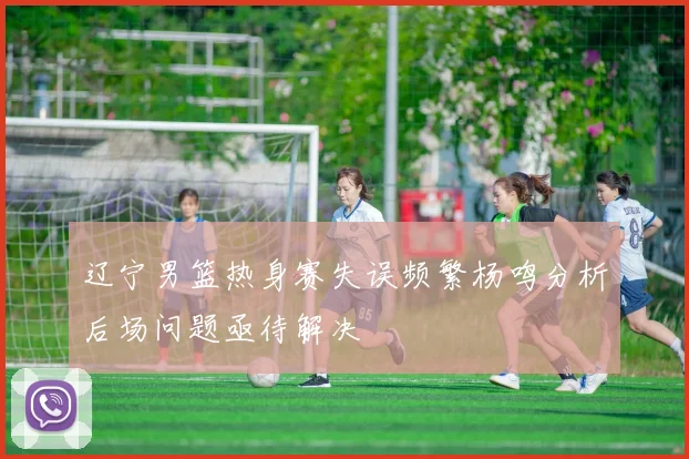 辽宁男篮热身赛失误频繁杨鸣分析后场问题亟待解决