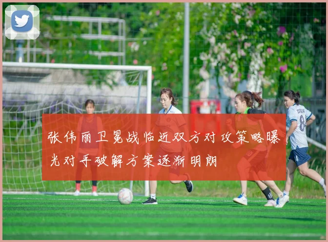 张伟丽卫冕战临近双方对攻策略曝光对手破解方案逐渐明朗
